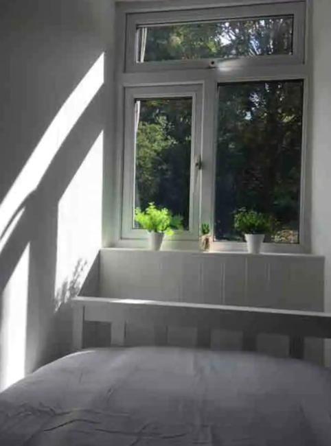 A Woodland Retreat - Apartment In Converted Mill Helston Eksteriør billede